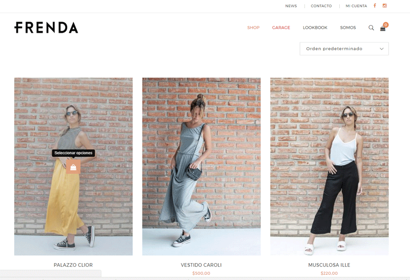 diseño web shop online online frenda